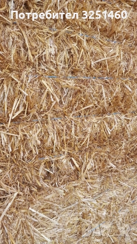 Слама Овес , снимка 5 - За селскостопански - 51519387