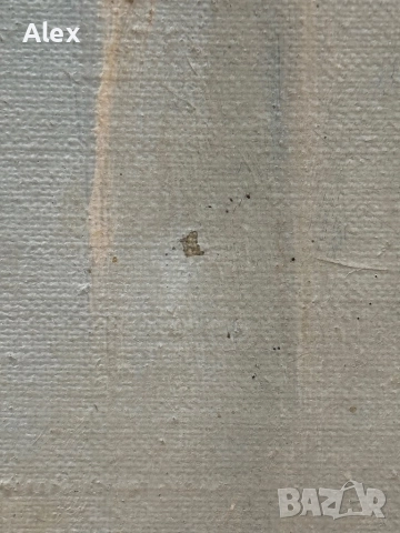 Картина масло върху платно, снимка 10 - Антикварни и старинни предмети - 52824917