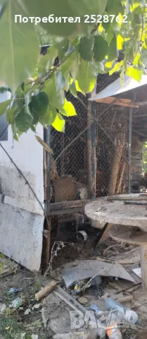 Хамалски услуги/Извозване/Пренасяне - Почистване на дворове, мазета, тавани., снимка 14 - Хамалски услуги - 32669504