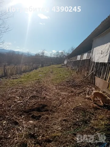 животновъден обект , снимка 14 - Други - 49296149