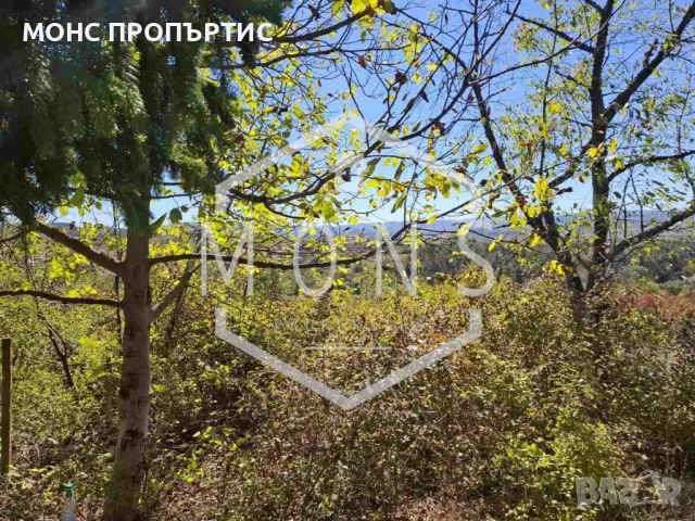 Поземлен имот за продажба в с. Присово, обл. В. Търново, снимка 4 - Парцели - 48976591