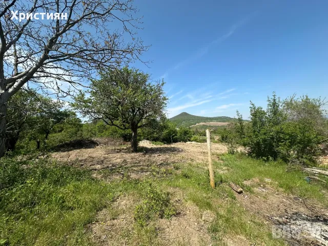 Къща в село Могила, снимка 7 - Къщи - 49190229