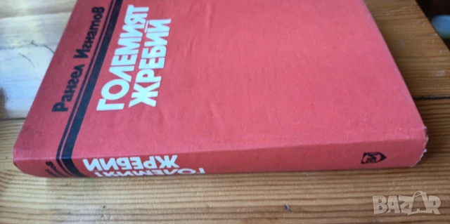 Големият жребий - Рангел Игнатов, снимка 4 - Българска литература - 51238086