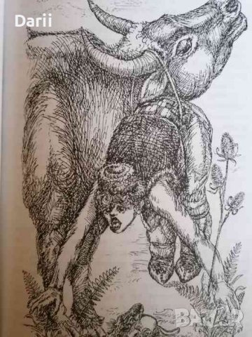 Невероятните приключение на едно момче! -Нейко Попов, снимка 2 - Детски книжки - 38291264