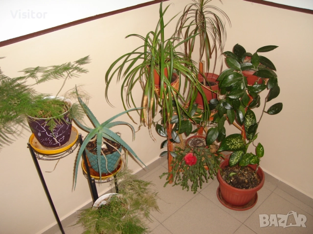 фотоапарат Sony Cyber-shot DSC-S40, снимка 13 - Фотоапарати - 51769173