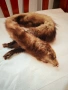 Продавам Две Обработени Кожи от Норка , снимка 4