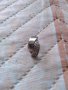 Сребърна обеца и пръстен , снимка 1 - Обеци - 37565330
