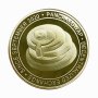 PancakeSwap coin / Панкейк монета ( CAKE ) - Gold, снимка 5