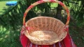 Кошница и панер плетени от ратан, снимка 3