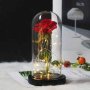 Вечна роза в стъкленица с LED светлина , снимка 2
