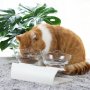 Модерна двойна купа за храна и вода за котки, снимка 12