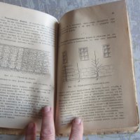 Стара книга Десертното грозде като храна и цяр 1927 год, снимка 5 - Специализирана литература - 32558306