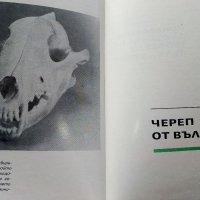 Ловни трофеи - Каталог - 1972г., снимка 6 - Други - 39625900