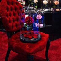 стъкленица с роза, снимка 1 - Романтични подаръци - 43259554