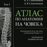 Атлас по анатомия на човека. Том 3: Ангиология. Лимфни органи, снимка 1 - Специализирана литература - 28589614