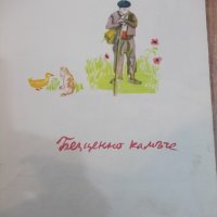Книга "Безценното камъче - Ангел Каралийчев" - 50 стр., снимка 3 - Детски книжки - 26812306