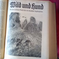   Wid and hund немско ловджийско списание 1930 - 1937 г, снимка 5 - Антикварни и старинни предмети - 37319252