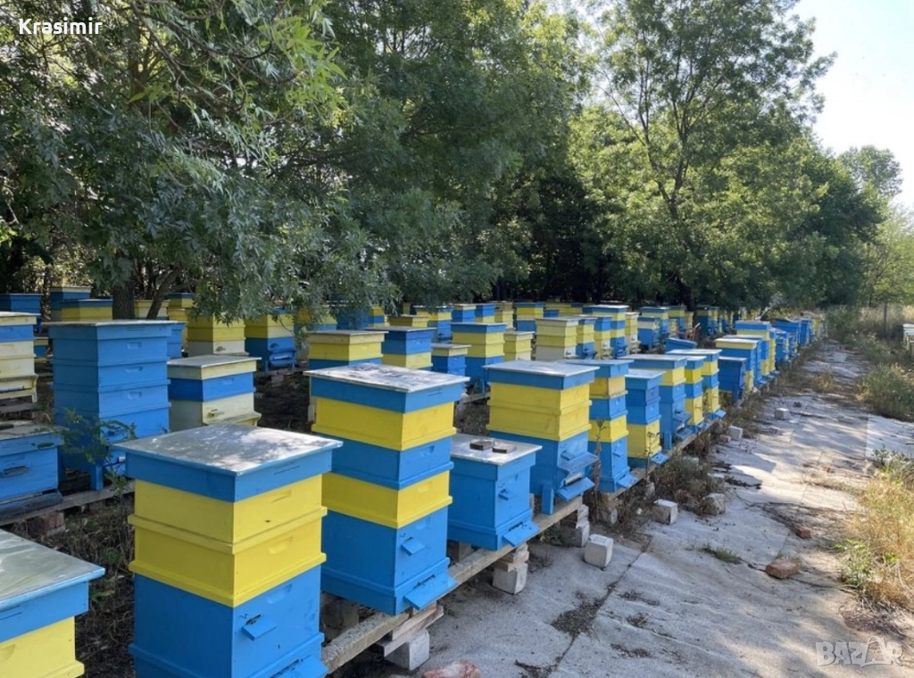 Продавам Кошери с Пчели Пчелни семейства Отводки Оплодени Пчелни Майки, снимка 1