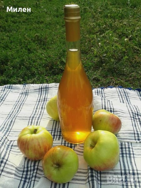 Домашен ябълков оцет, снимка 1