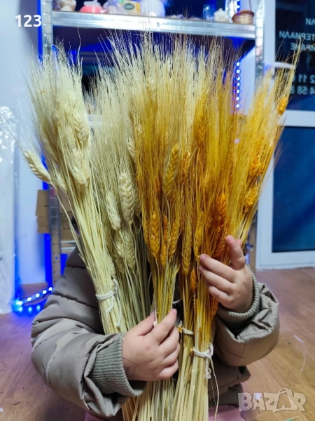 житен клас, снимка 1