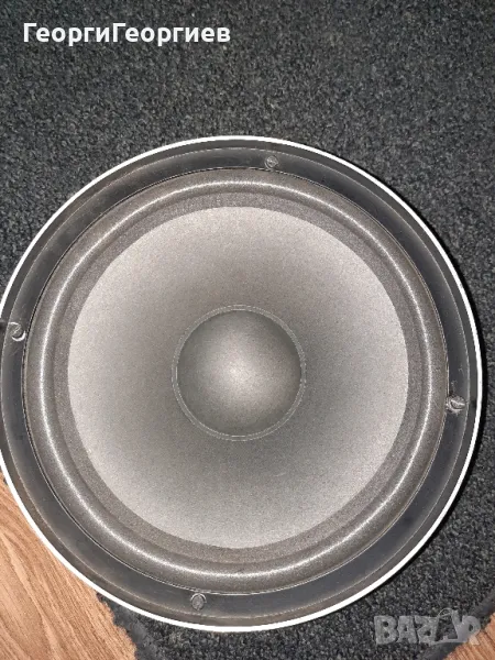 Unitra tonsil., снимка 1