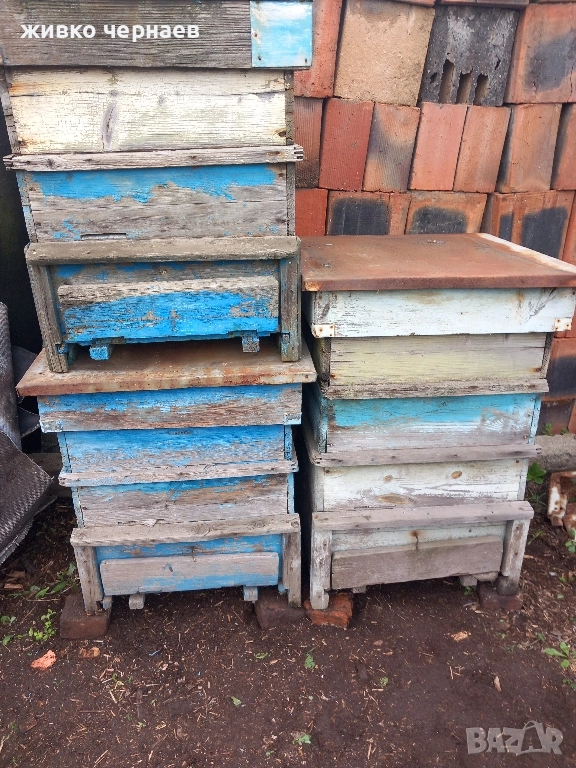 пчелни кошери с магазини и рамки, снимка 1