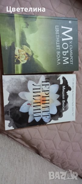 У. СЪМЪРСЕТ МОЪМ, Мишел Бюси, снимка 1