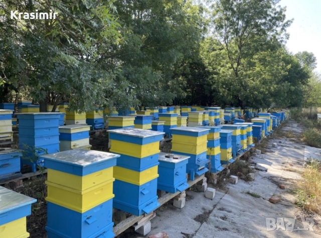 Продавам Кошери с Пчели Пчелни семейства Отводки Оплодени Пчелни Майки