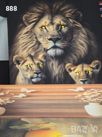 картини, снимка 17 - Картини - 53575033