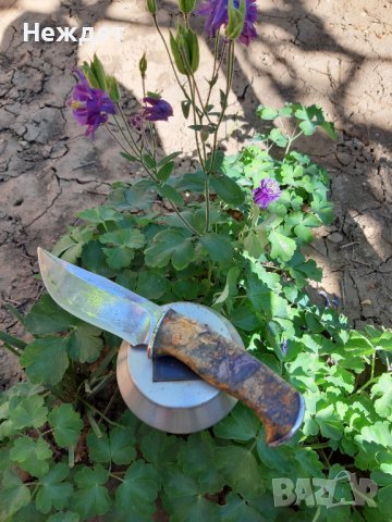 Нож от ламинат М398 на Владислав Чулан, снимка 15 - Ножове - 36601774