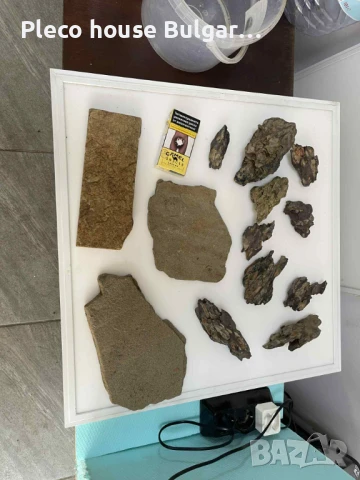 Драконови камъни за аквариум