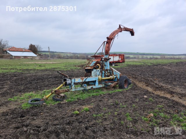 Силажка Менгеле