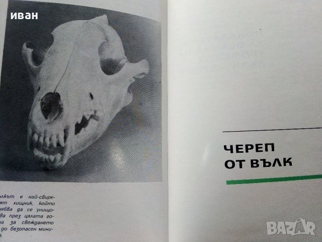 Ловни трофеи - Каталог - 1972г., снимка 6 - Други - 39625900