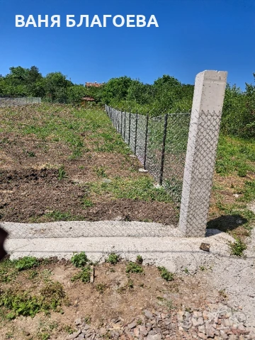 Давам място под наем в с.Голяновци , снимка 9 - Парцели - 50969805