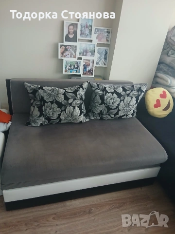 Двуместен разтегателен диван
