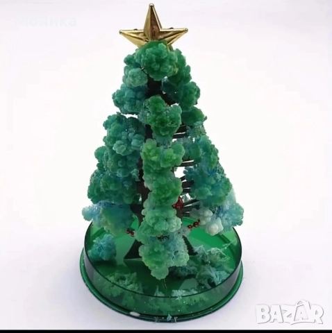 Магическо дърво