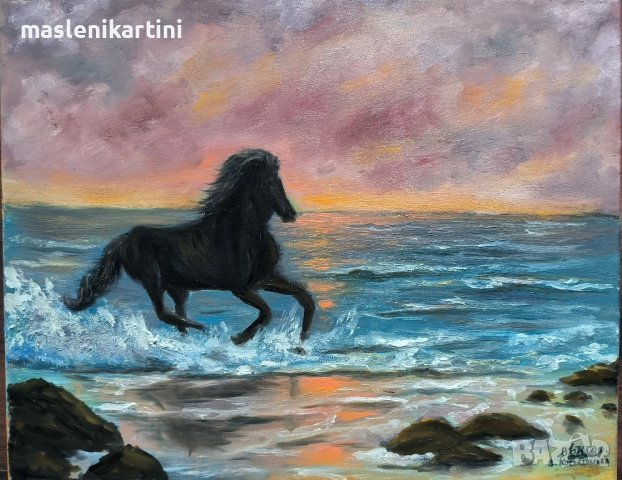Морски залез и кон маслена картина 