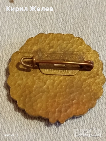 Рядка значка с емайл KARWENDELMARSCH за КОЛЕКЦИЯ 47701, снимка 5 - Колекции - 52444242