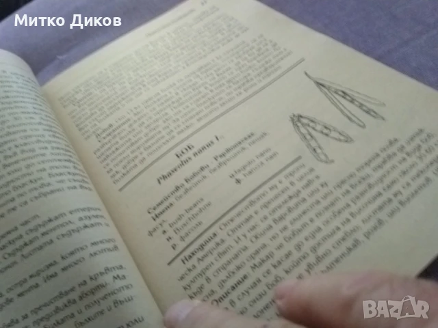 Най-хубавото от вестник книга III част , снимка 7 - Художествена литература - 51007228