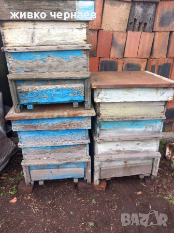 пчелни кошери с магазини и рамки