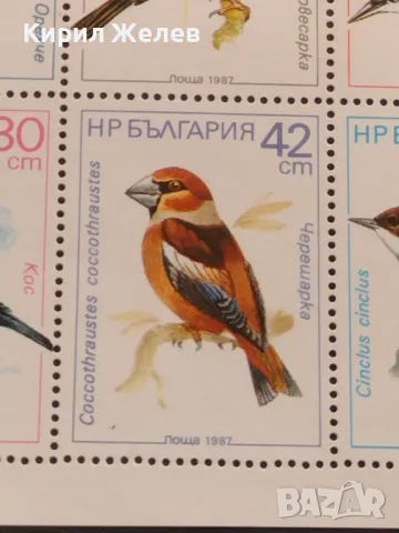 Пощенски марки чиста комплектна серия ЖИВОТНИ ПТИЦИ поща НРБЪЛГАРИЯ за КОЛЕКЦИЯ 46526, снимка 6 - Филателия - 47322476