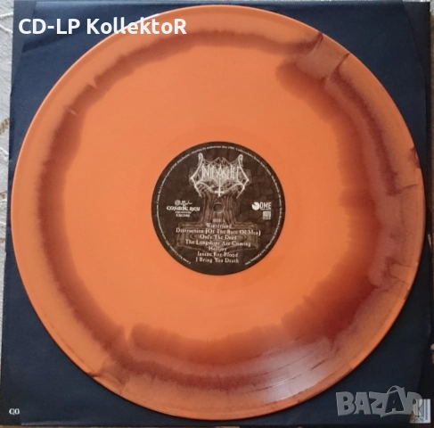 Vinyl за продан (Unleashed - Sworn Allegiance), снимка 3 - Грамофонни плочи - 52587384