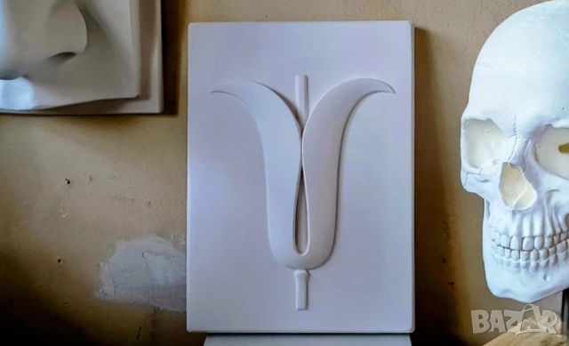 Гипсови Форми за Рисуване / Декорация / Нос / Ухо / Око / Уста, снимка 17 - Декорация за дома - 48825906