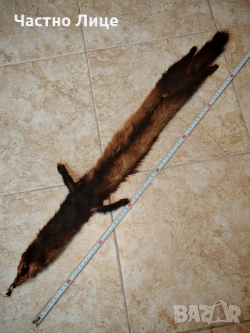 Продавам Две Обработени Кожи от Норка , снимка 8 - Антикварни и старинни предмети - 53330522