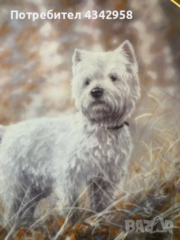 Колекционерска чиния от серия « Westies», снимка 2 - Антикварни и старинни предмети - 50786046