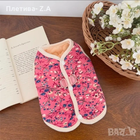 Сладка дрешка за домашен любимец