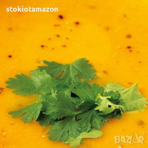 Пасатор Electrolux ESTM3400, 600W, снимка 8 - Чопъри и пасатори - 38581971