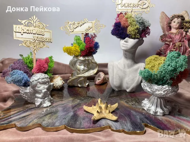 Различни модели кашпи със естествен скандинавски мъх и пожелания, снимка 12 - Стайни растения - 47476759