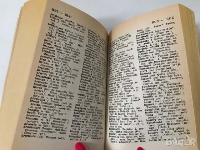 Френско - италиански италианско - френски речник Larousse, снимка 5 - Чуждоезиково обучение, речници - 39543806
