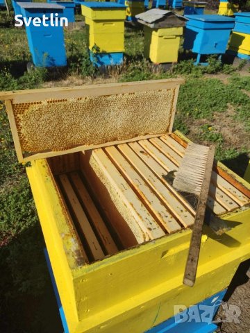 Домашен пчелен мед, снимка 2 - Пчелни продукти - 42534851